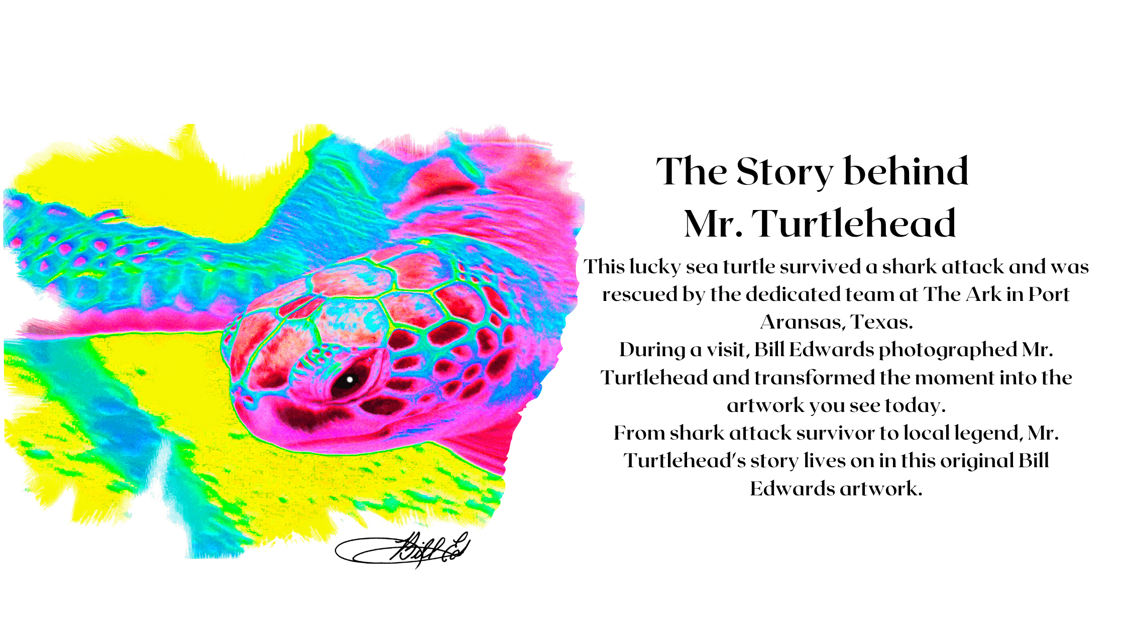 Mr. Turtlehead Performance Shirt on Pink
