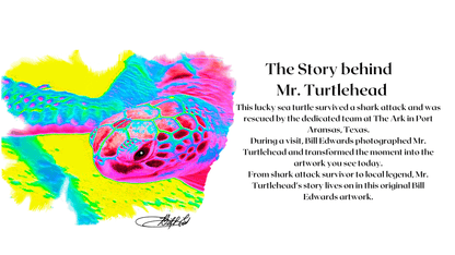 Mr. Turtlehead Performance Shirt on Pink