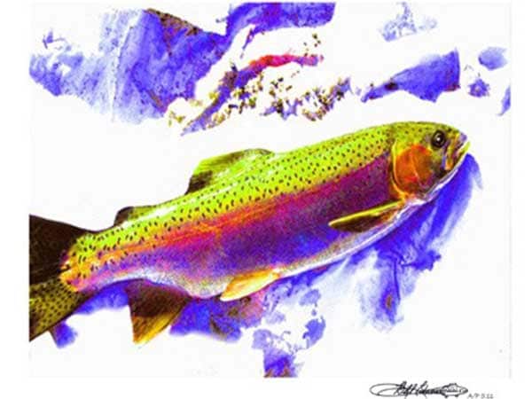 Mountain Rainbow Trout Art Print