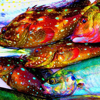 Puerto Vallarta Catch Art Fish Print