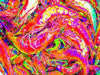 Fresh Shrimp Calypso Art Print