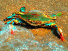 Coastal Crab Art Print on Museum Watercolor Paper