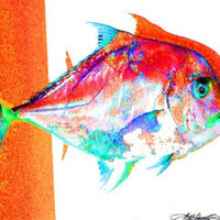 Red Pompano Premium Art Print