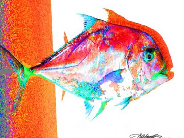 Red Pompano Premium Art Print