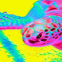 Sea Turtle Art Print Featuring Mr. Turtlehead